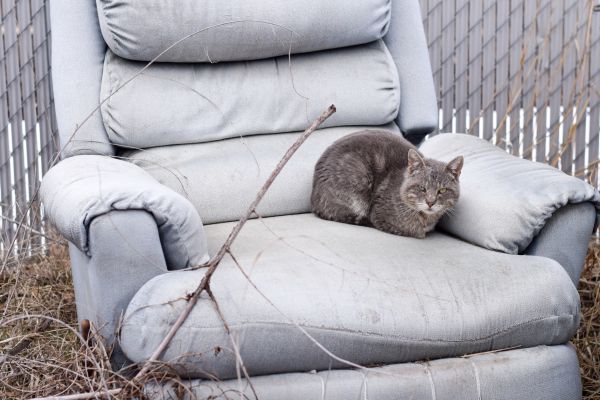 Recliner Disposal in Chesterfield